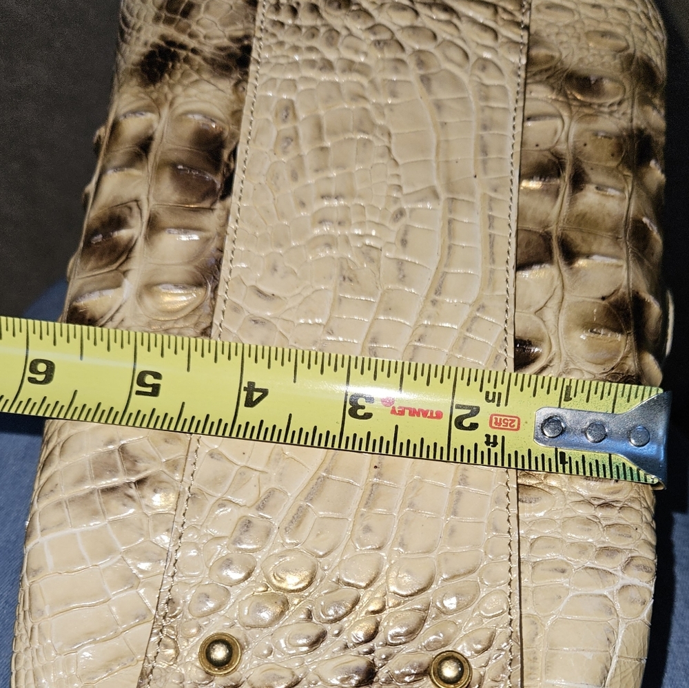 Brahmin handbag